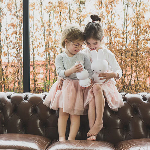 Productafbeelding 7