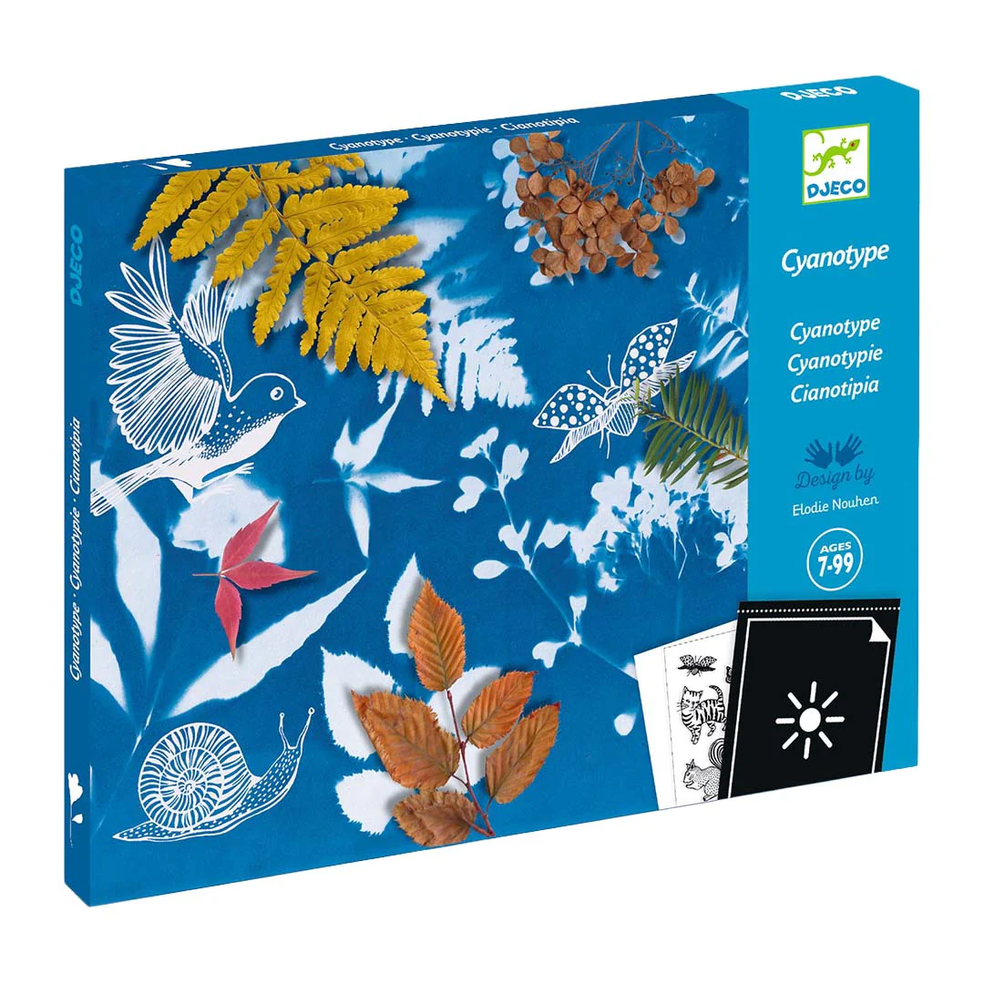 Miniatuur 1