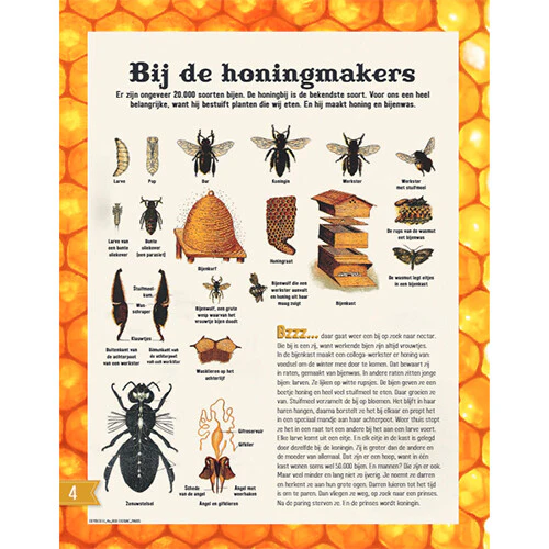 Productafbeelding 5
