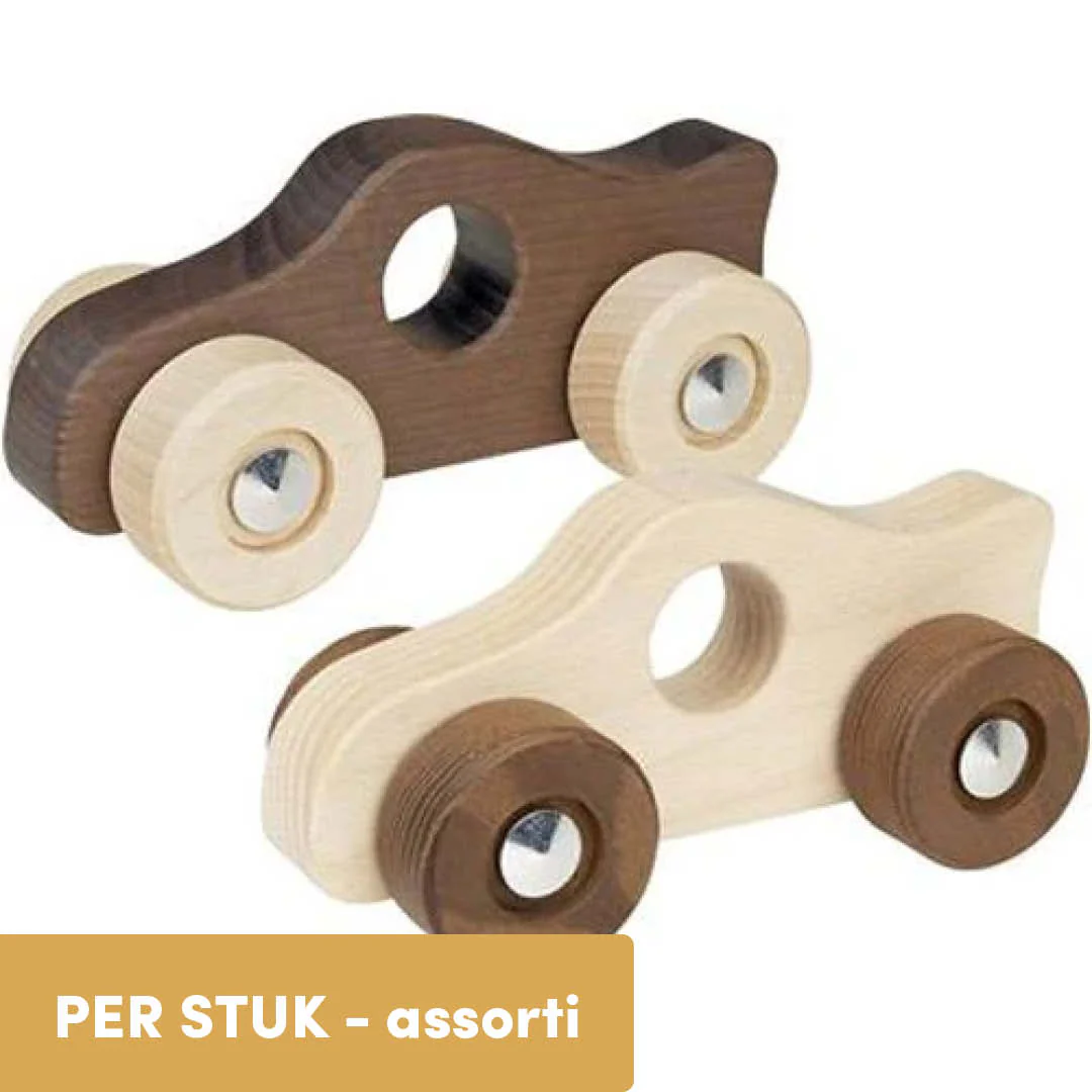 Miniatuur 1