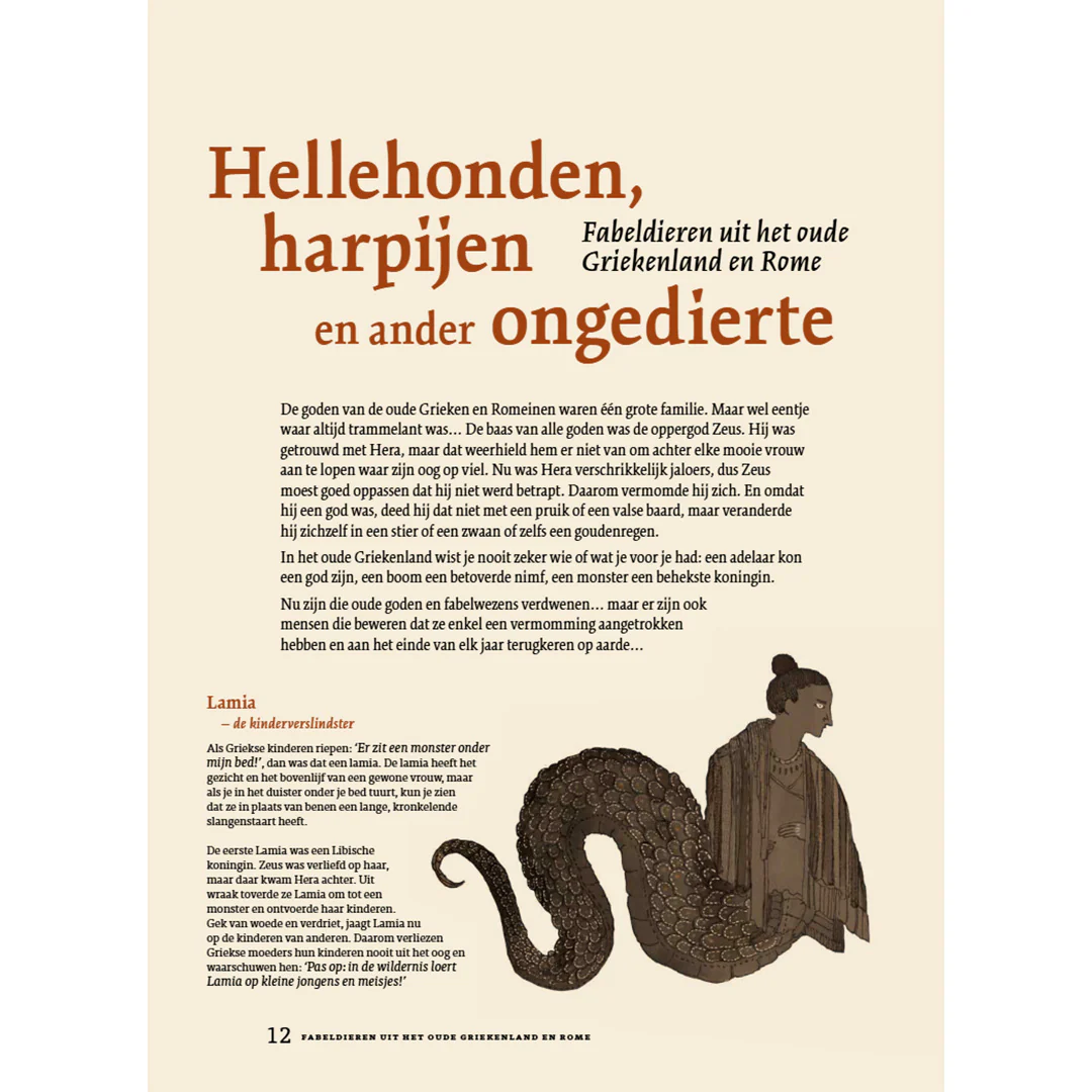 Productafbeelding 4