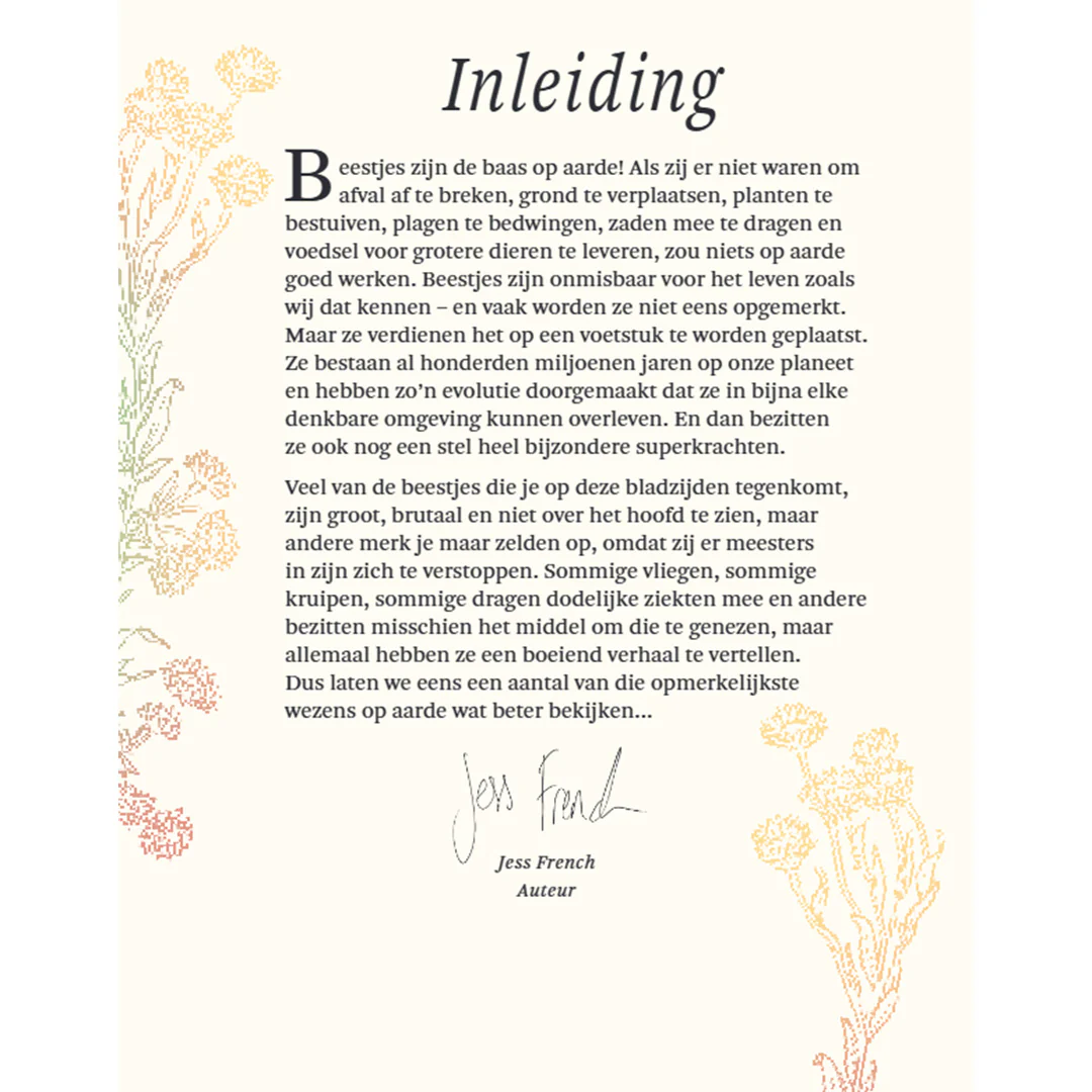 Productafbeelding 3