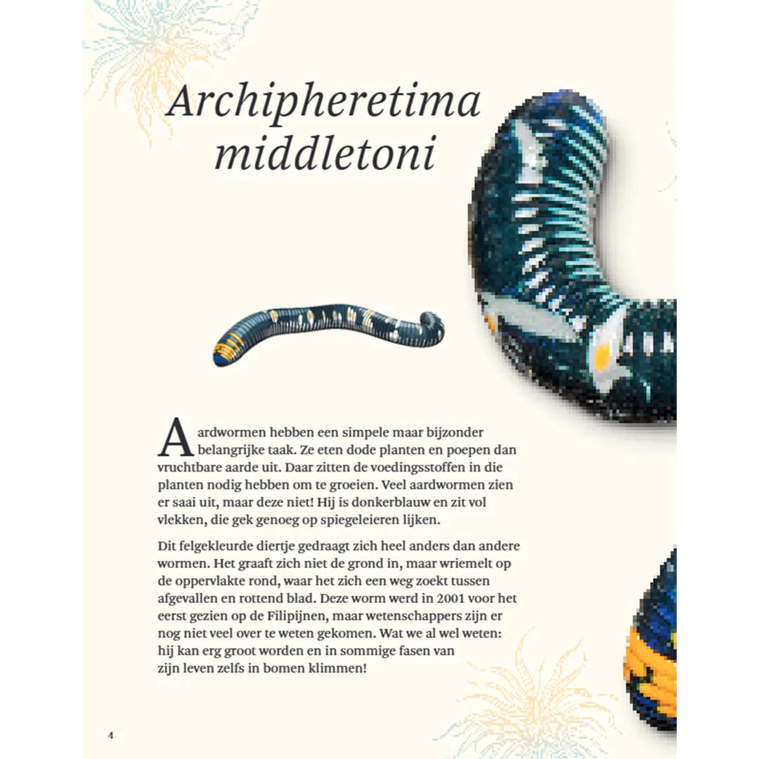 Productafbeelding 4