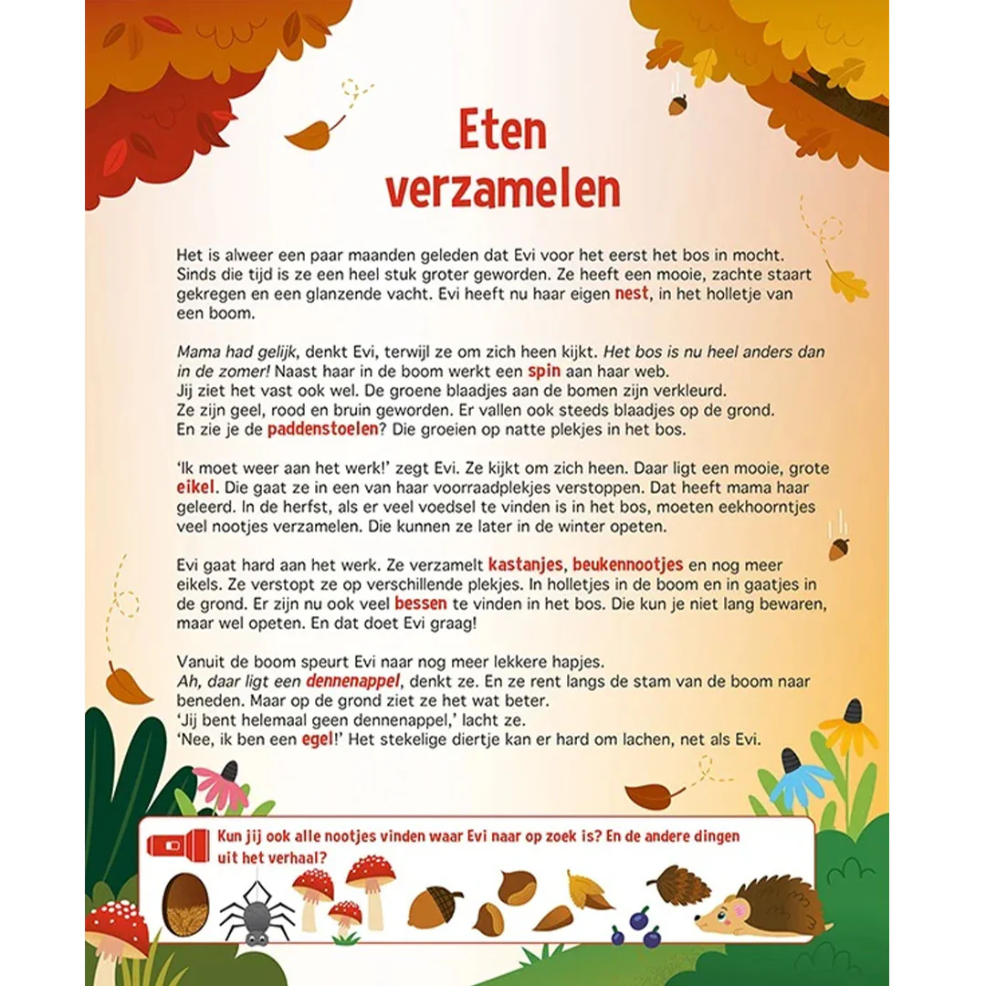 Productafbeelding 5