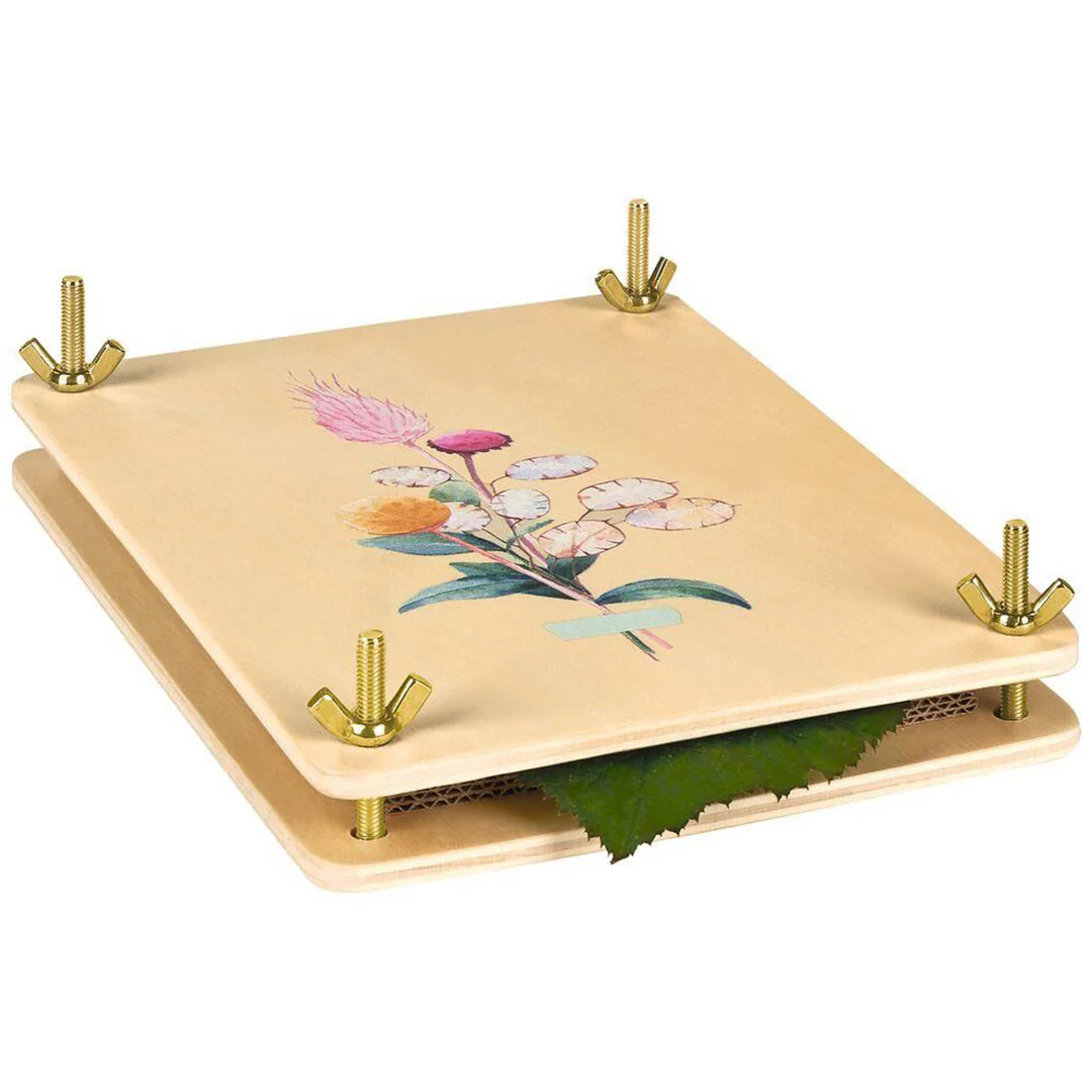 Miniatuur 1
