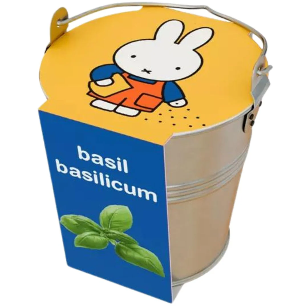 Miniatuur 1
