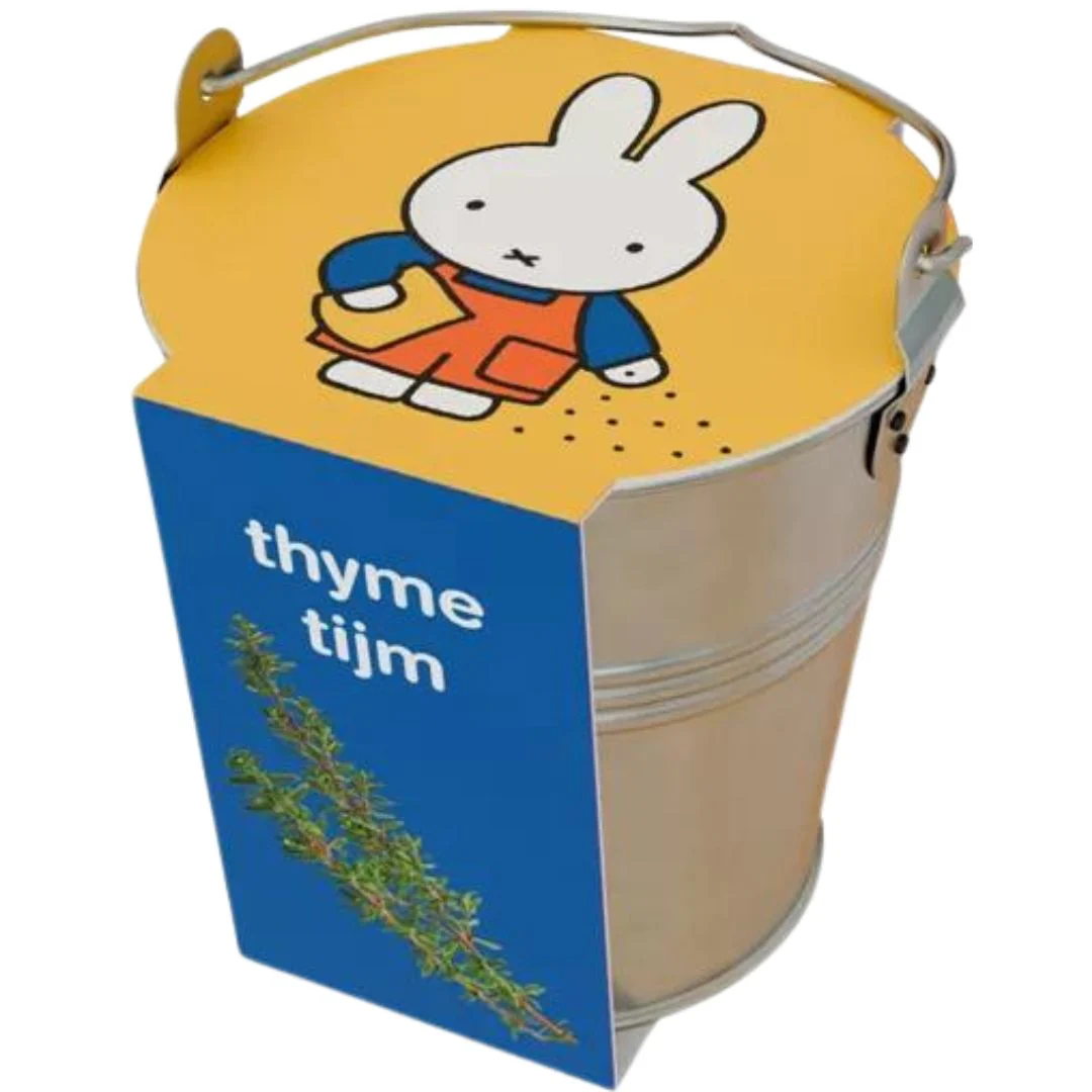 Miniatuur 1