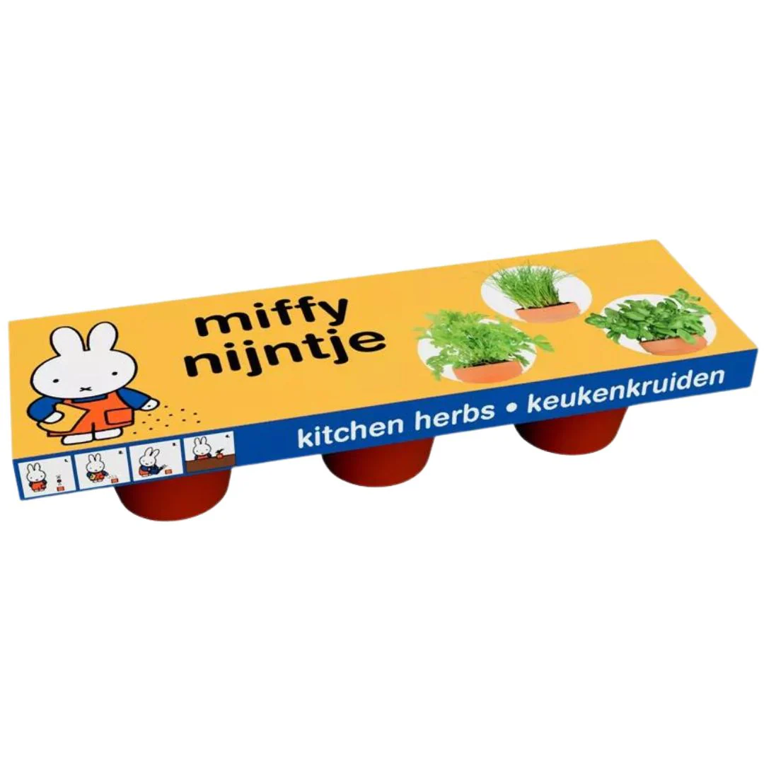 Miniatuur 1