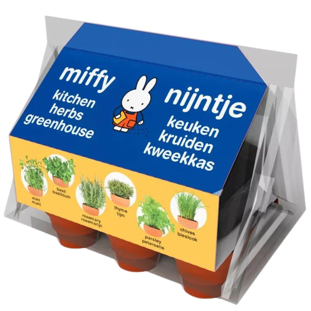 Miniatuur 1