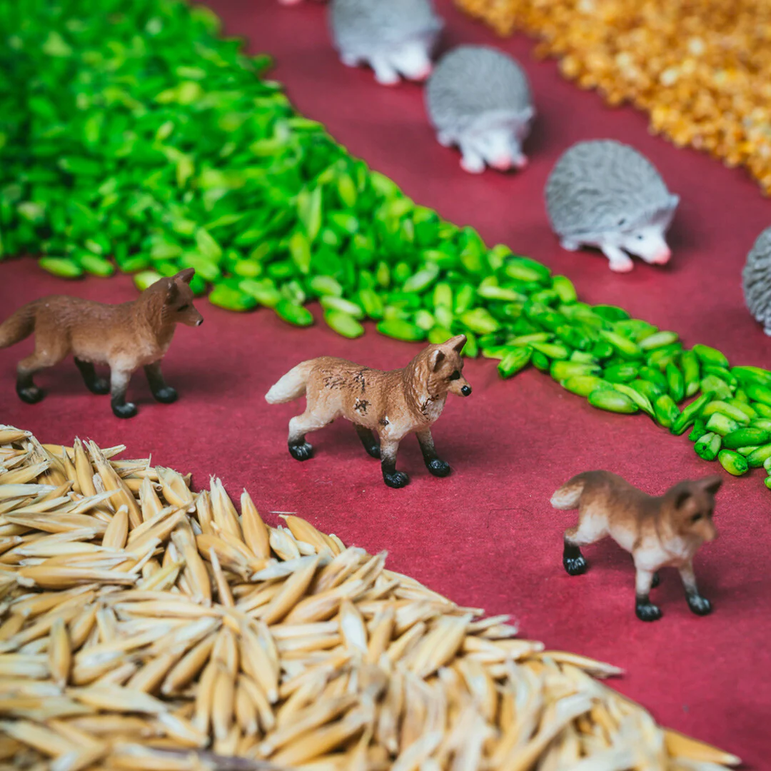 Miniatuur 2