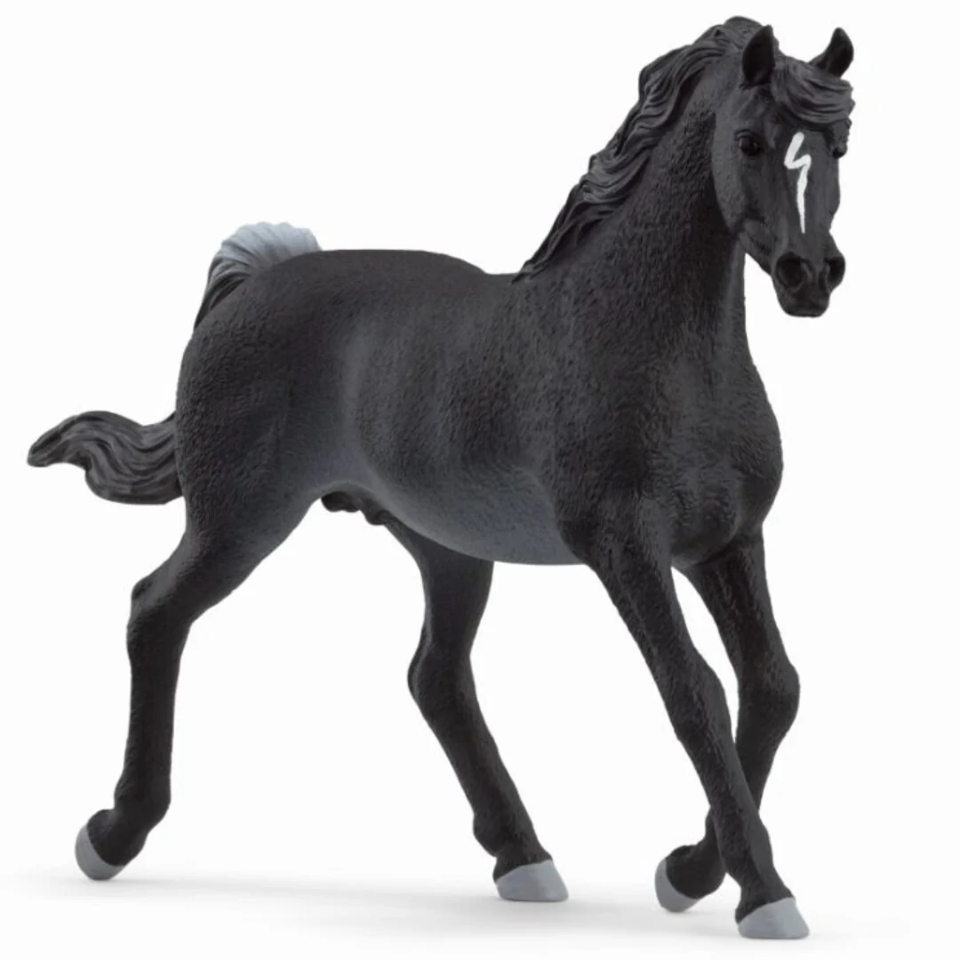 Miniatuur 1