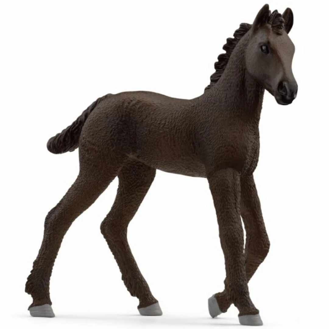 Miniatuur 1