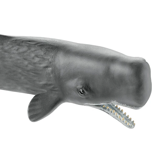 Miniatuur 2