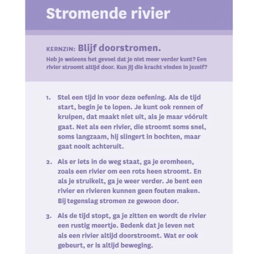 Productafbeelding 13
