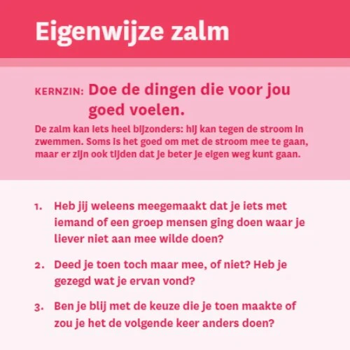 Productafbeelding 15