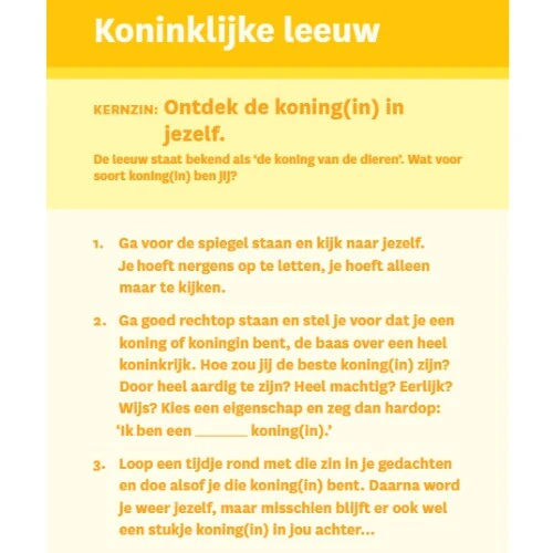 Productafbeelding 17