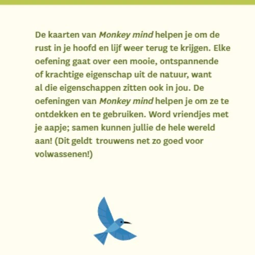 Productafbeelding 6