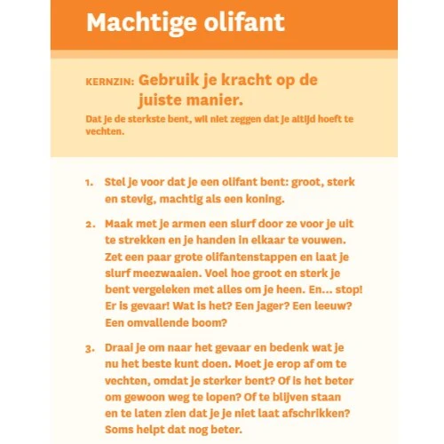 Productafbeelding 9