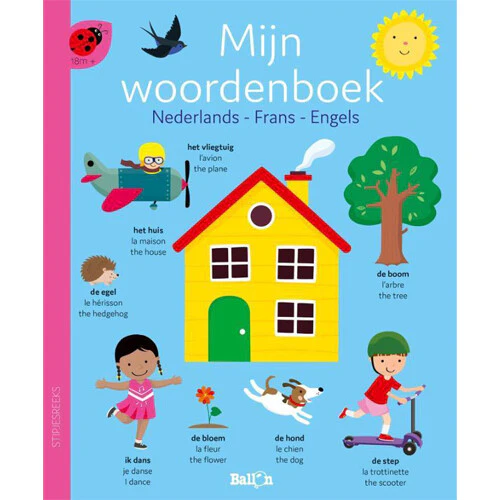 Productafbeelding 1