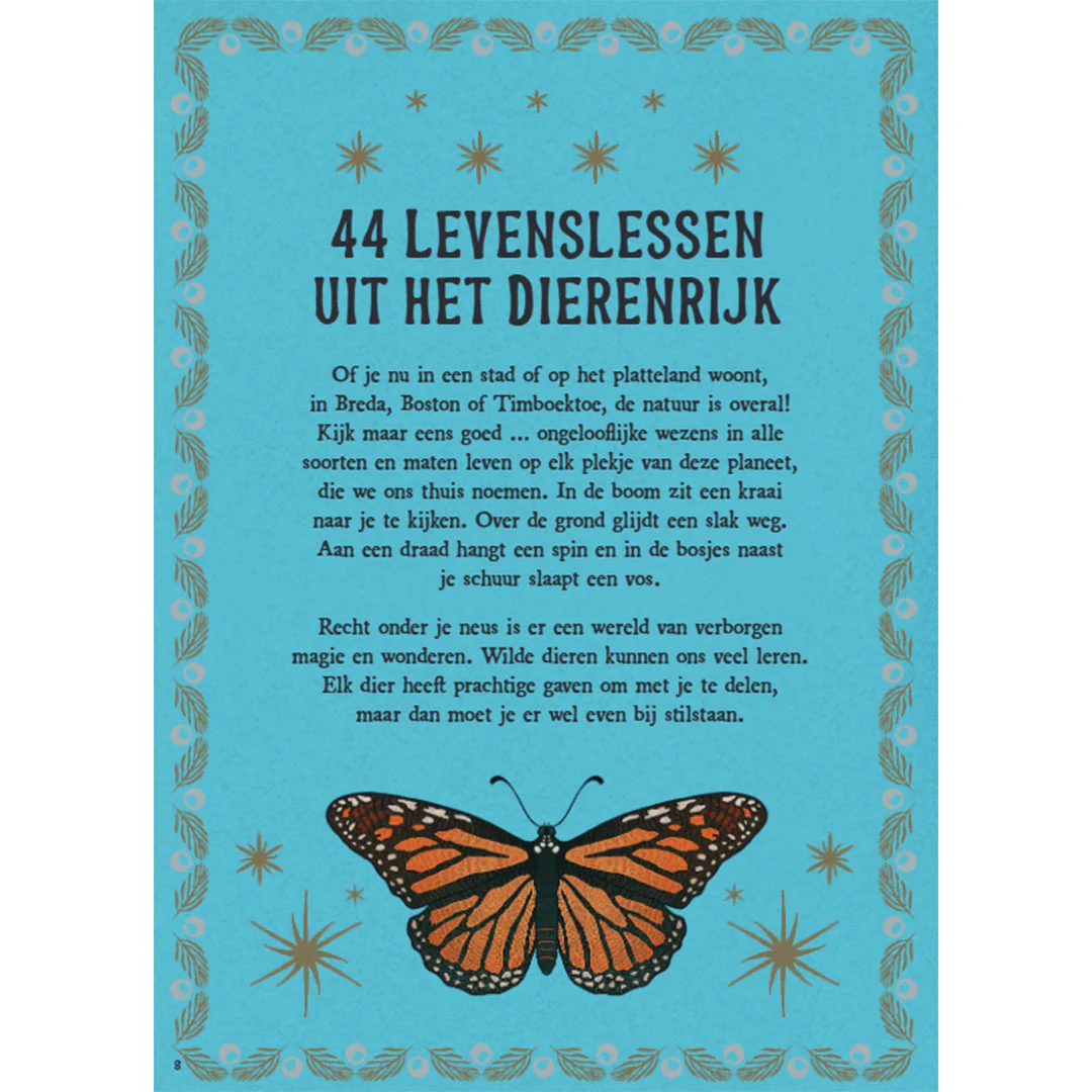 Productafbeelding 2