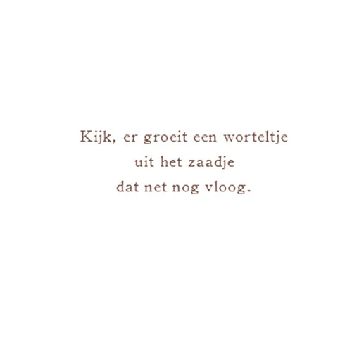 Productafbeelding 5