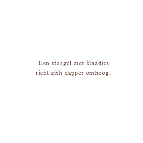 Productafbeelding 7