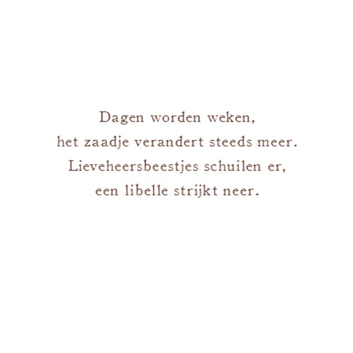 Productafbeelding 9