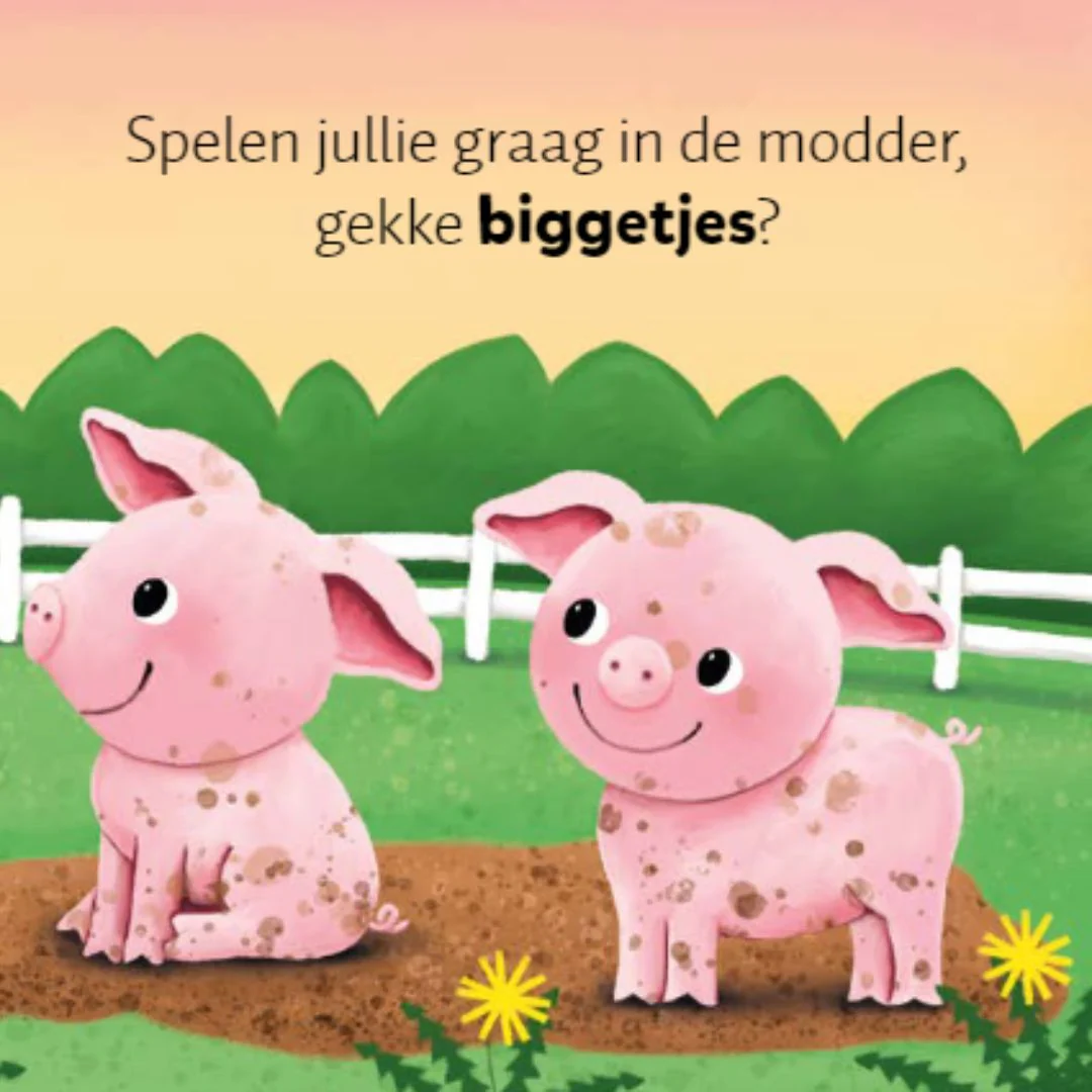 Productafbeelding 3