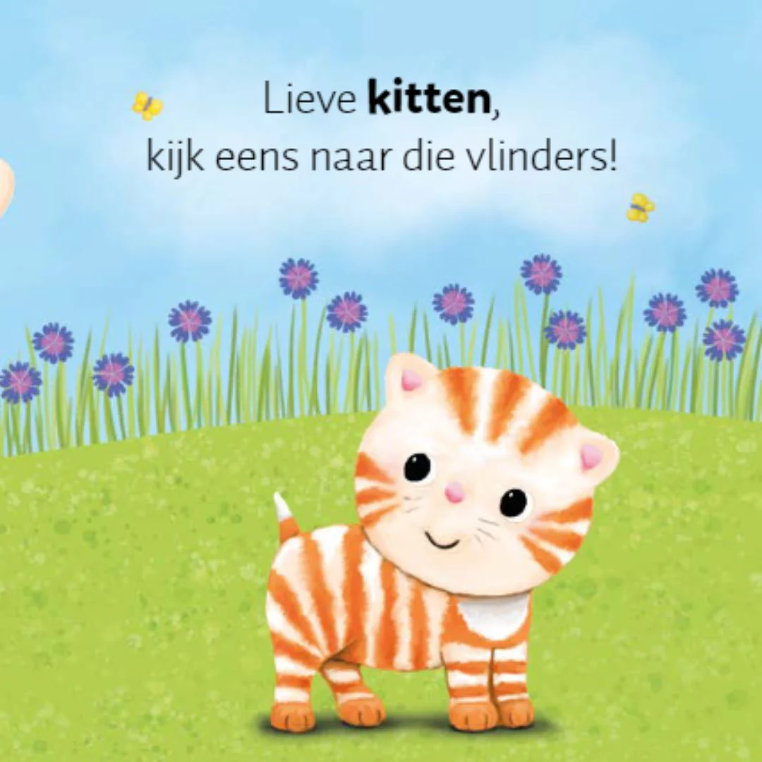 Productafbeelding 5