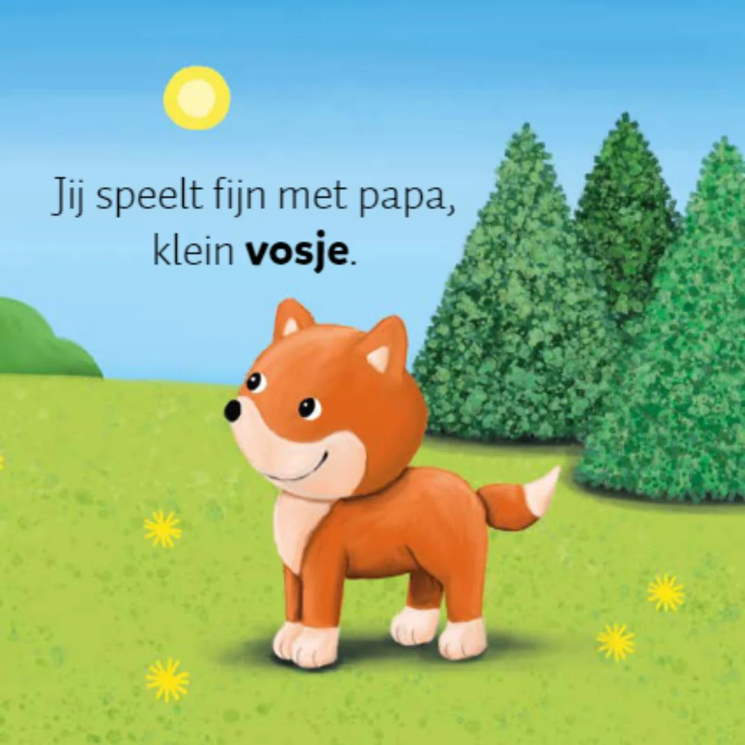 Productafbeelding 3