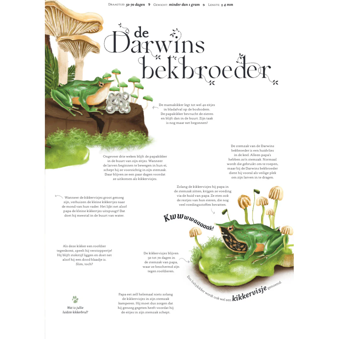 Productafbeelding 5