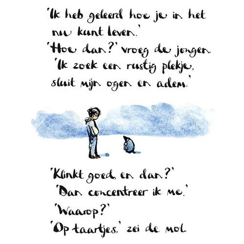 Miniatuur 2