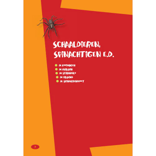 Productafbeelding 4