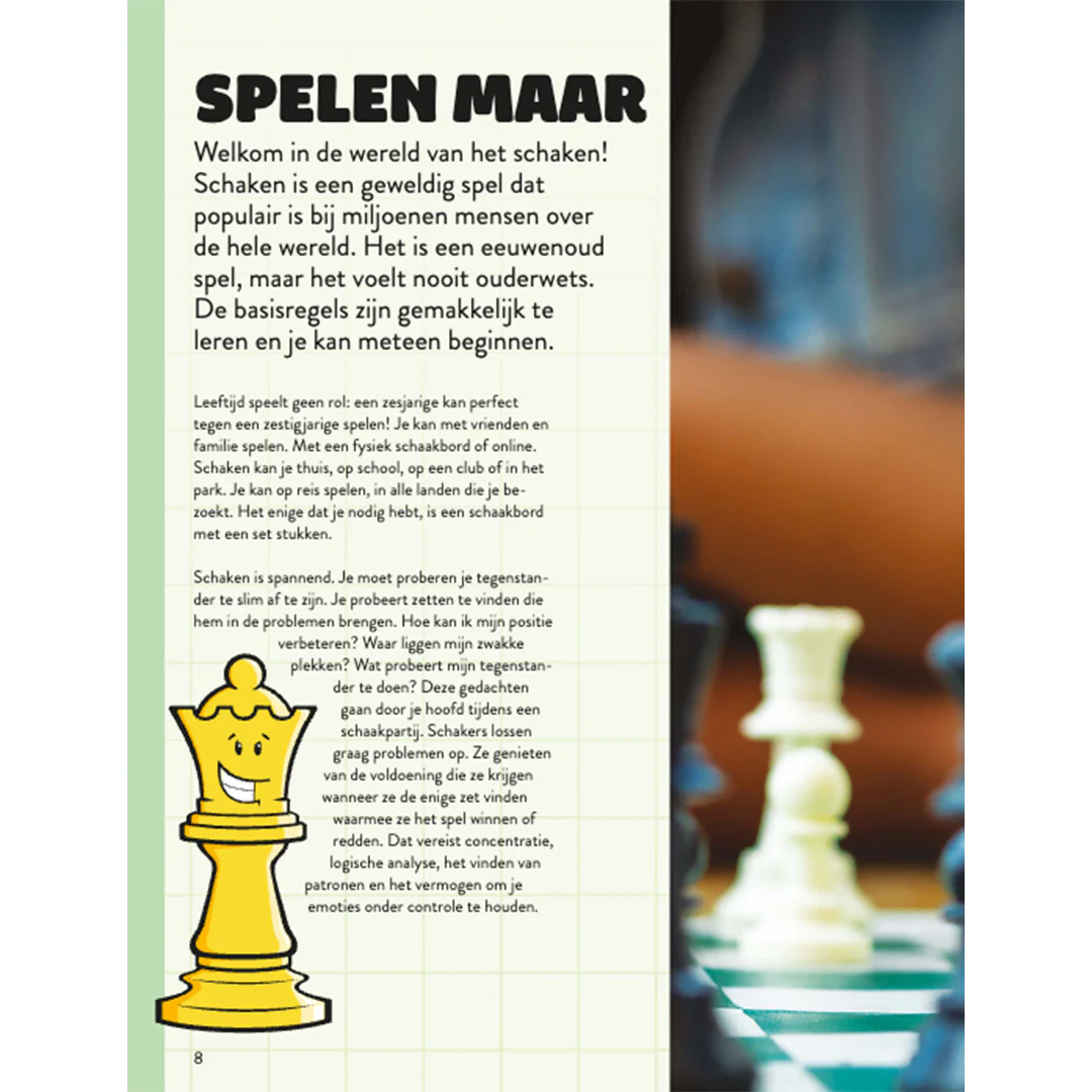 Productafbeelding 2