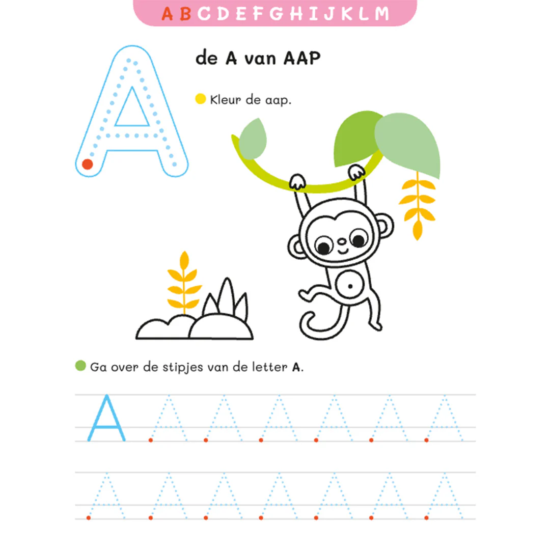 Productafbeelding 2