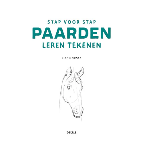 Productafbeelding 2