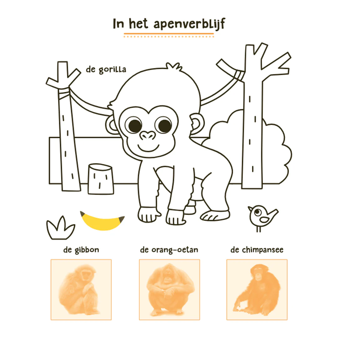 Productafbeelding 3