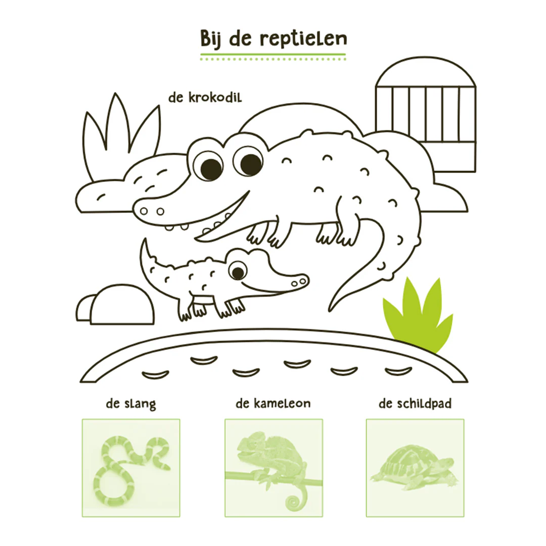 Productafbeelding 5