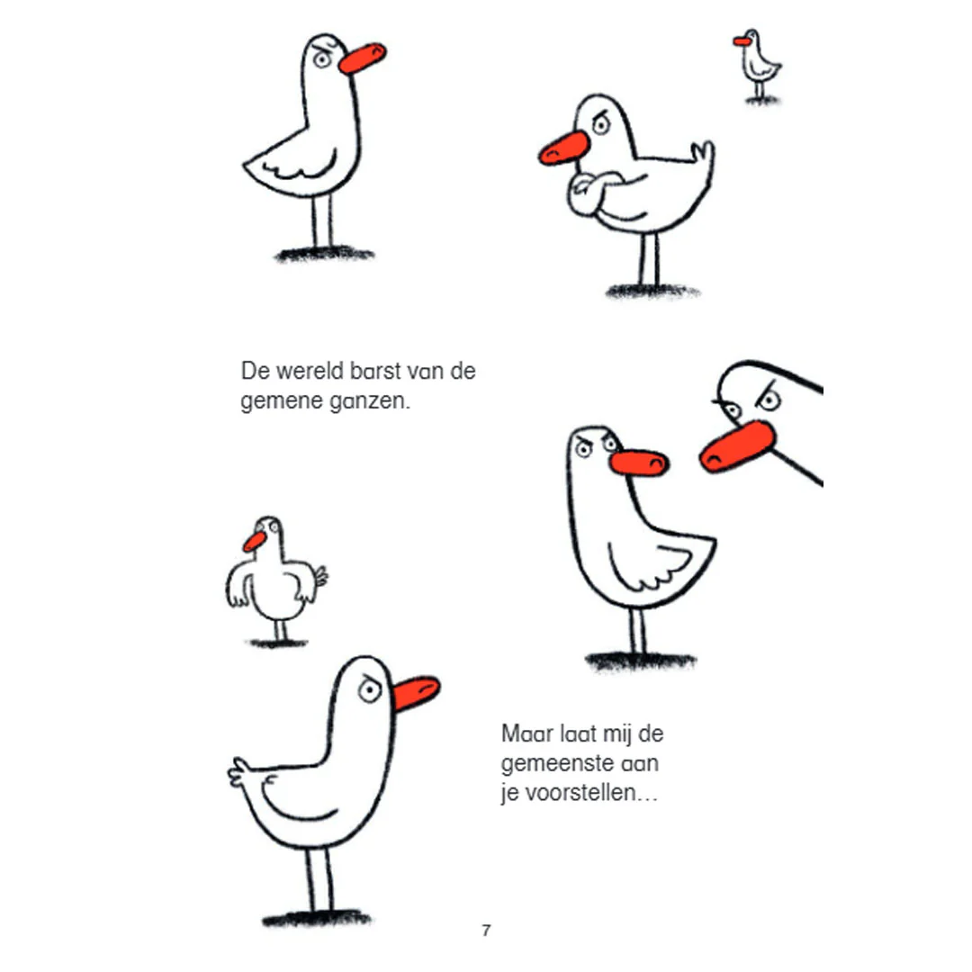 Productafbeelding 5