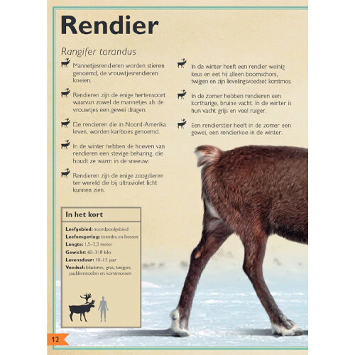 Productafbeelding 4