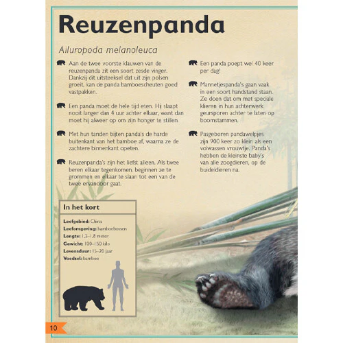 Productafbeelding 6