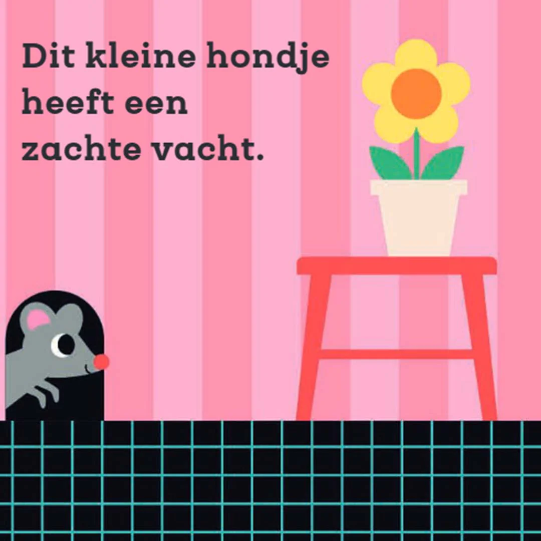 Productafbeelding 5