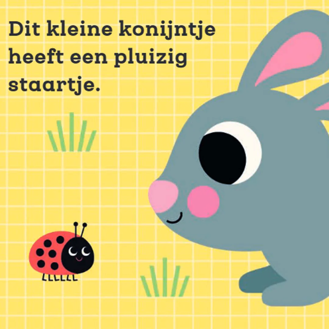 Productafbeelding 2