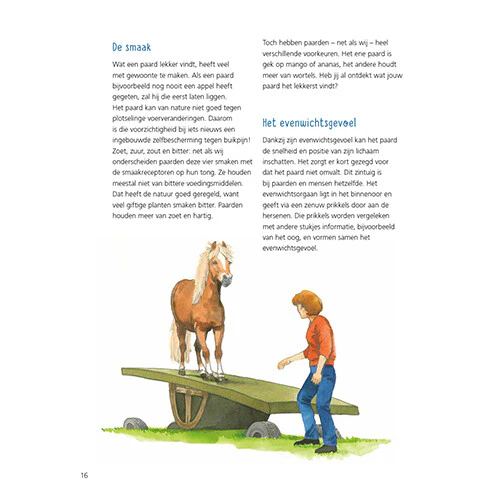 Productafbeelding 11