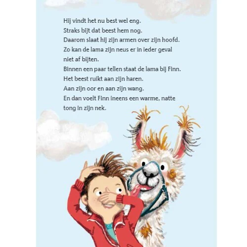 Productafbeelding 6