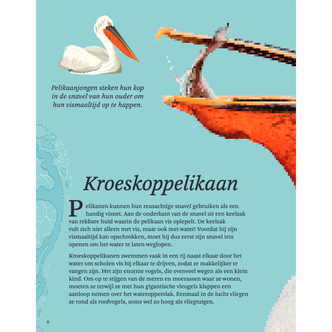 Productafbeelding 4