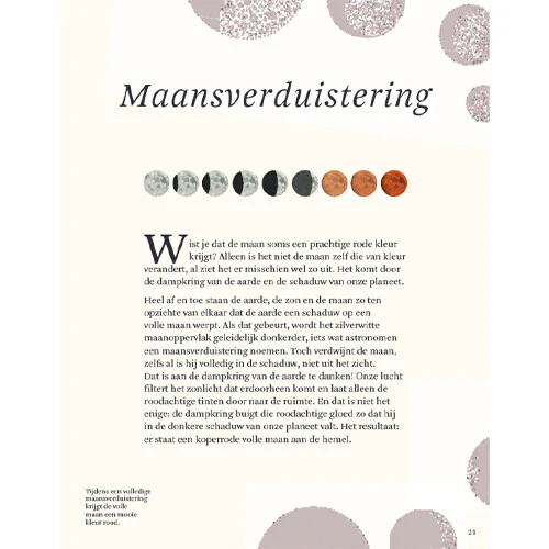 Productafbeelding 3