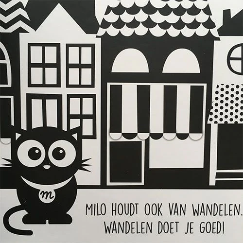 Productafbeelding 2