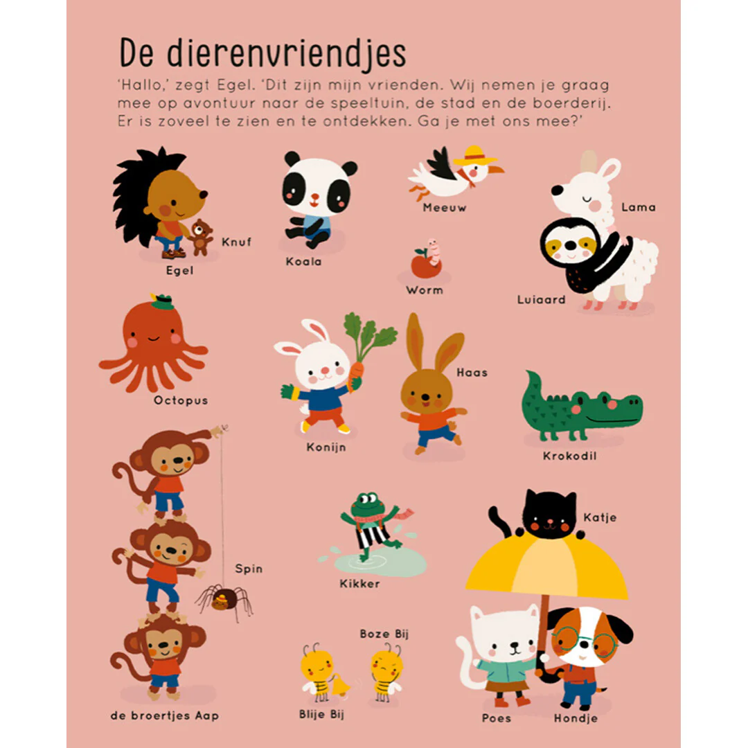 Miniatuur 2