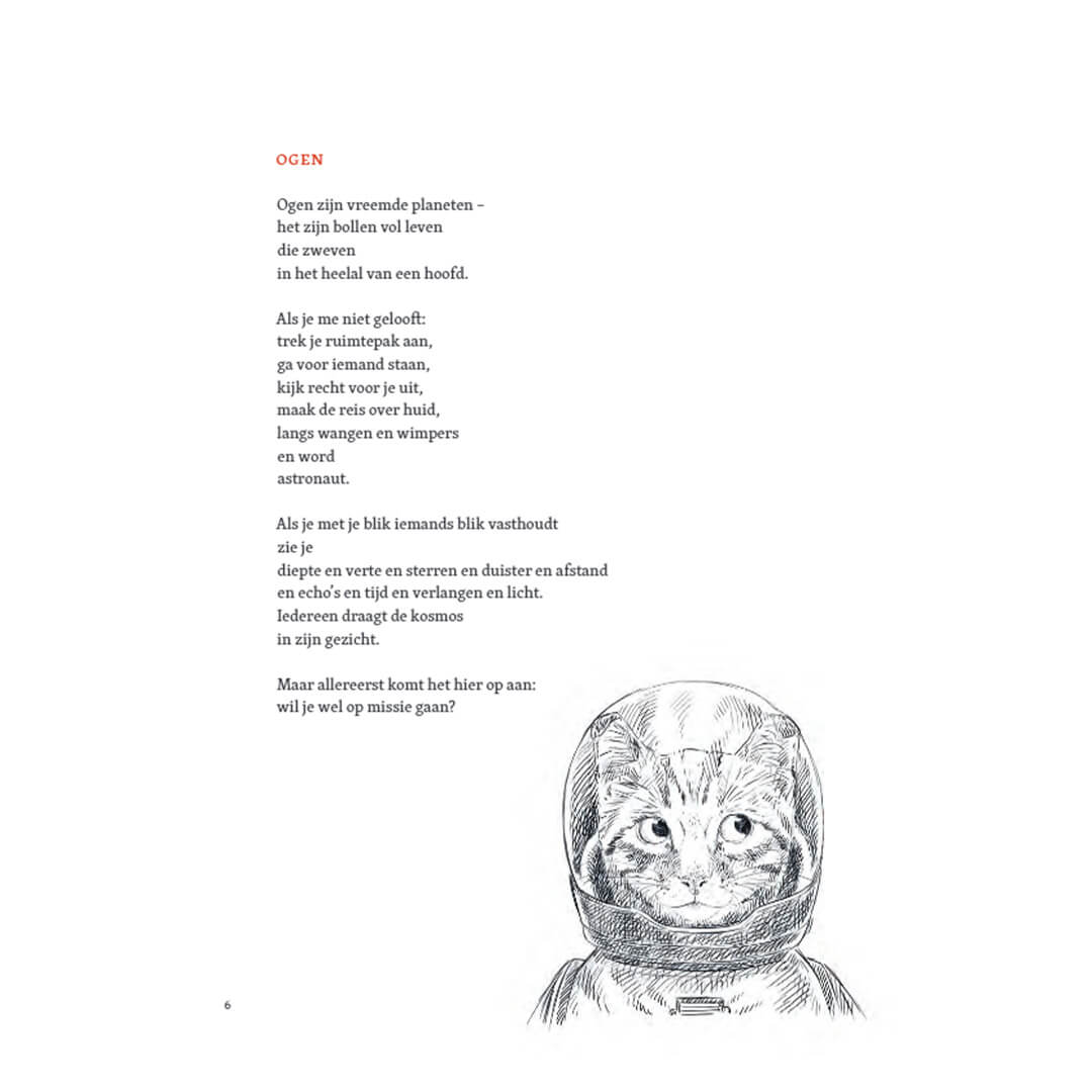 Productafbeelding 2
